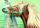 Pony, Equine Art - Seeking Pony Mares
